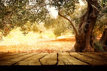 Fotobehang Herfst Houten tafel met olijfboom