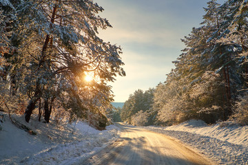 Winter road in forest