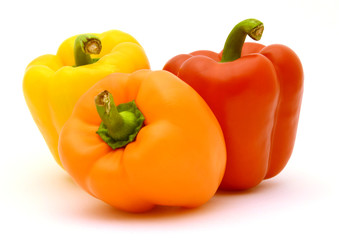 Paprika
