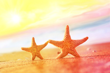 Fototapeta na wymiar Two caribbean starfish over beach such a summer vacation symbol