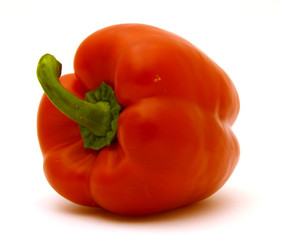 Paprika rot