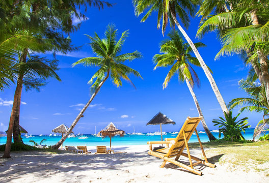 Tropical beach paradise with leaning palm trees and bamboo chair on white sand in Boracay island Philippines luxury summer vacation destination for wall art print and travel decor solitude