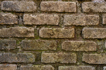 Texture Bricks Tufo little