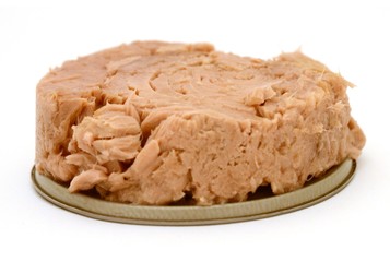 Thunfisch