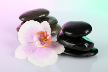 Naklejka na ściany i meble Spa stones with orchid on light background