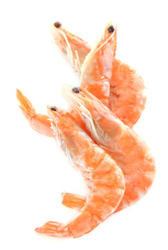 Shrimps isolated on white