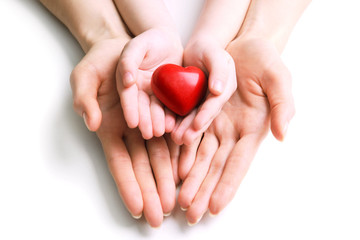 Heart in hands isolated on white