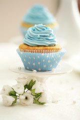 Delicious cupcakes on table on light background