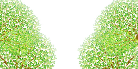 葉　新緑　背景