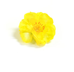 plastic yellow apricot blossom ( yamabuki ) on white background