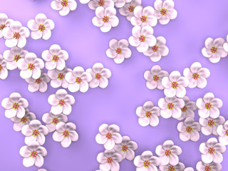 White Cherry Blossoms On Purple Background