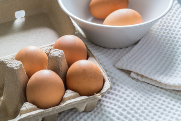 Eggs in a carton package