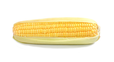 Corn with white background