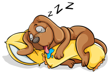 A dog sleeping with a pillow