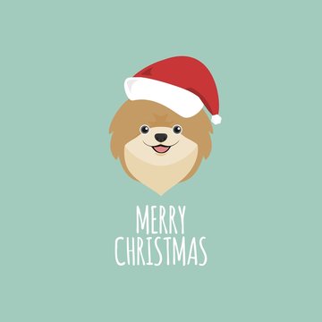 Merry Christmas Card, Pomeranian
