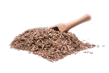 Caraway seed in an olive wood scoop