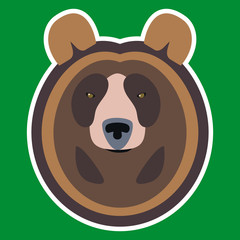 Brown Bear Head