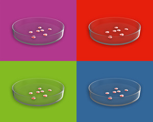 Petri Dish with Bacteria