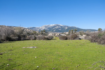 Meadow in the Hueco de San Blas, La Pedriza, Spain