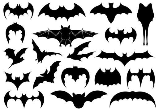 Illustration of different bats isolated on white