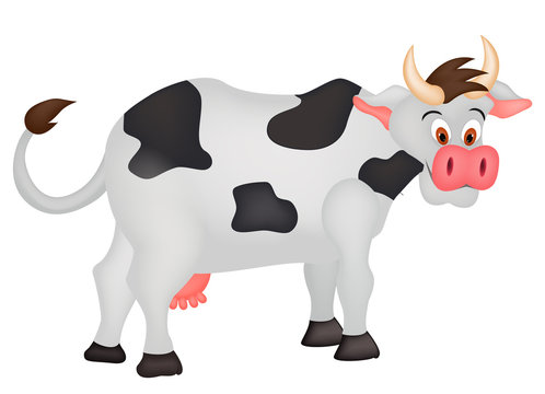 Cow Cartoon