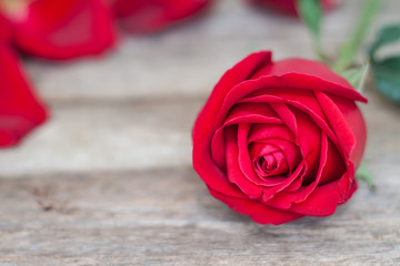 Naklejka premium Red roses on wood background