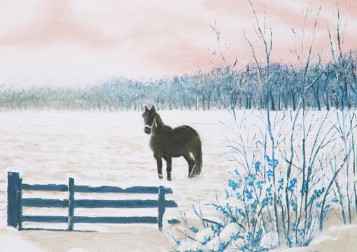Frisian horse in a snowy meadow