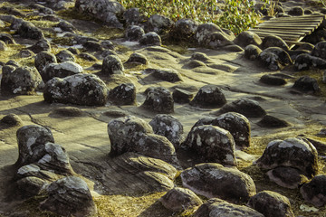 Phuhinrongkla National Park,THAILAND
