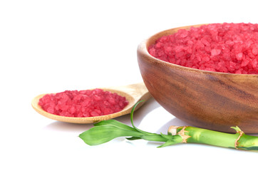 spa concept over white with sample text