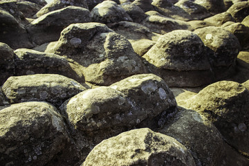 Phuhinrongkla National Park,THAILAND