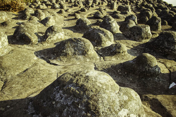 Phuhinrongkla National Park,THAILAND