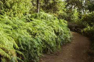 Phuhinrongkla National Park,THAILAND