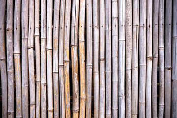 Striped bamboo pattern on row texture background