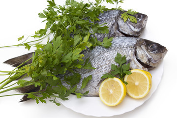 fresh fish isolated