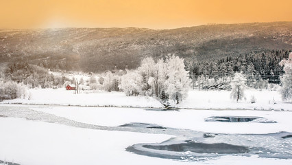 Winter landscape