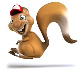 Fun squirrel