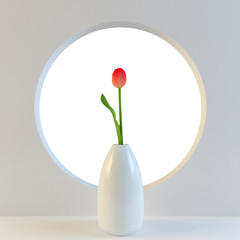 Red tulip in a vase on a white background circular hole