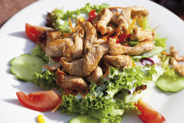 Putenbruststreifen mit gemischtem Salat, close up
