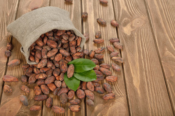 Cocoa beans in a bag