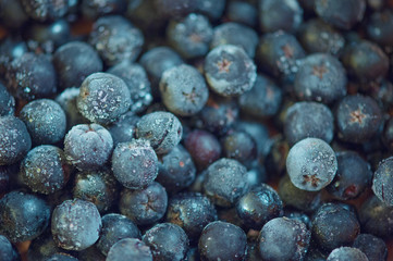 Frozen chokeberry