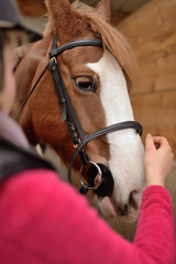 équitation © Image'in