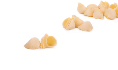 Italian pasta shells