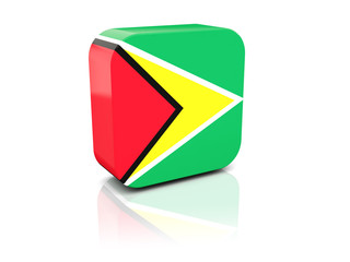 Square icon with flag of guyana
