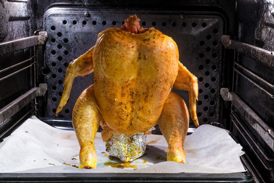 Pollo in piedi in cottura nel forno