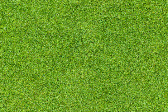 Beautiful green grass pattern from golf course