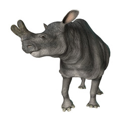 Brontotherium