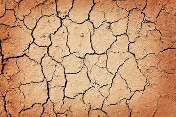 cracked earth texture