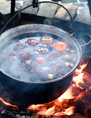 Campfire cooking, fruit dessert