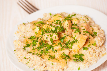 chicken breast with sauce and oatmeal