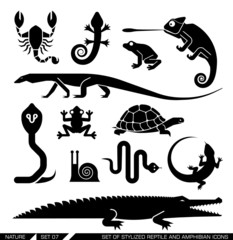 Set of geometrically stylized reptiles and amphibians icons